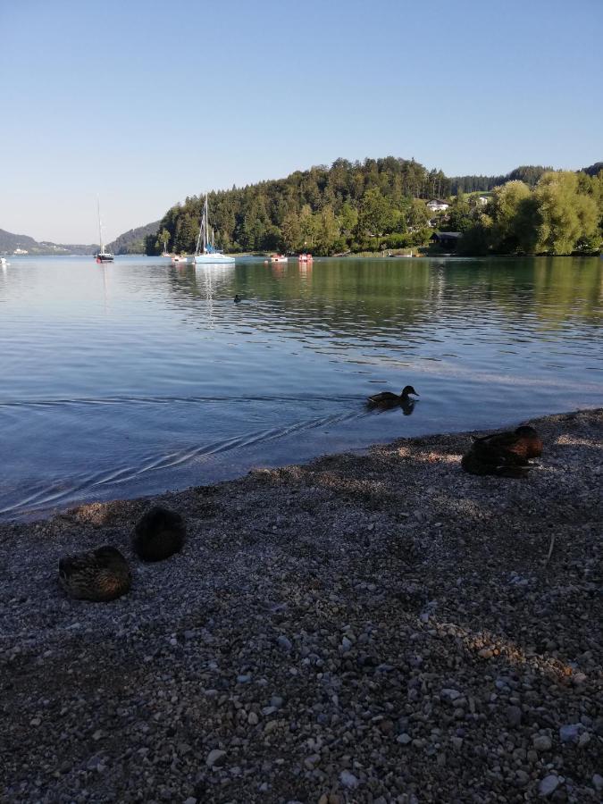 Appartement Feichtingerbauer à Fuschl am See Extérieur photo
